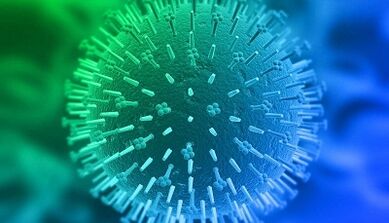 Voies d'infection par le virus du papillome humain